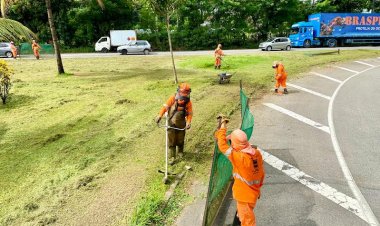 Prefeitura de Ipatinga realiza ação intensiva de limpeza no trecho urbano da BR-381