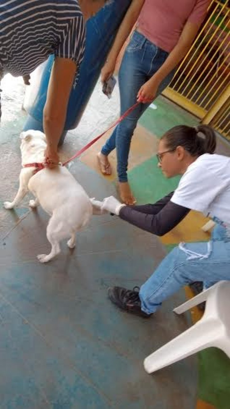 Timóteo intensifica Vacinação Antirrábica com Dias D