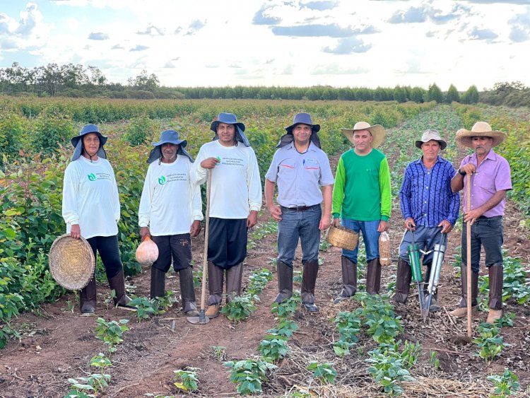 Aperam BioEnergia recebe Selo de Sustentabilidade por possibilitar que pequenos agricultores cultivem alimentos em suas florestas plantadas